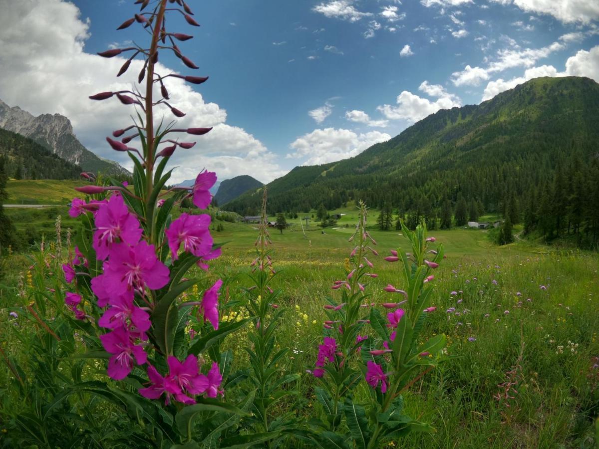 L'Etesy, Pied Des Pistes Et Spa Montgenèvre Dış mekan fotoğraf